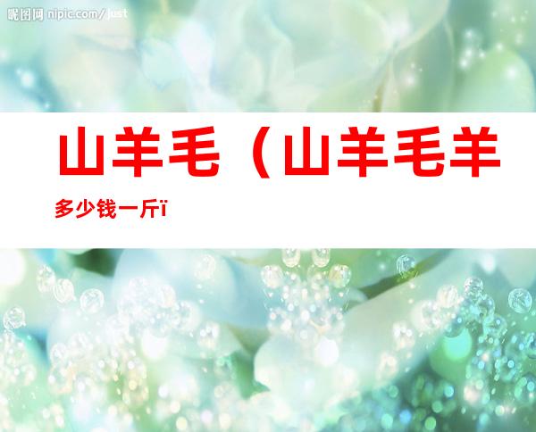 山羊毛(山羊毛羊多少钱一斤)