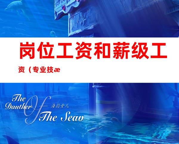 岗位工资和薪级工资(专业技术人员岗位工资和薪级工资)