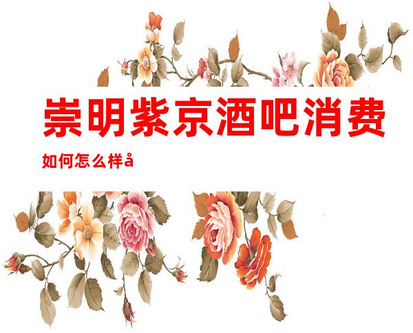 崇明紫京酒吧消费如何?怎么样?多少的?