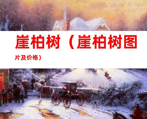 崖柏树(崖柏树图片及价格)