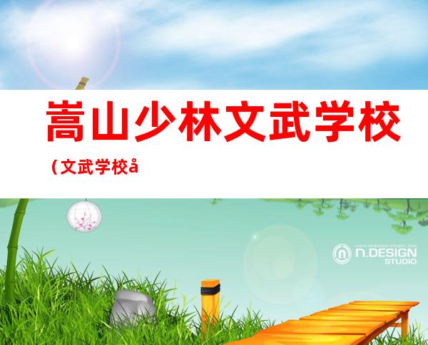 嵩山少林文武学校(文武学校学费)