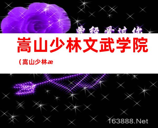 嵩山少林文武学院(嵩山少林文武学院总教练)