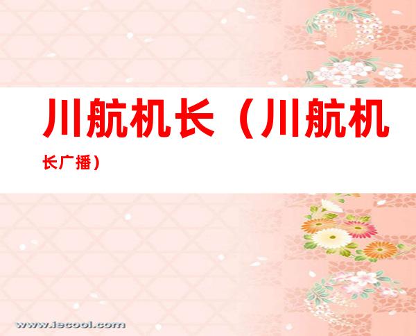 川航机长(川航机长广播)