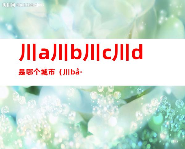 川a川b川c川d是哪个城市(川b川c川e是什么城市)