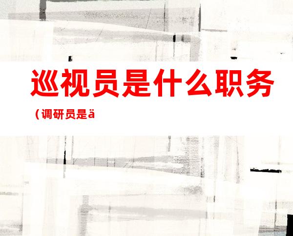 巡视员是什么职务(调研员是什么职务)