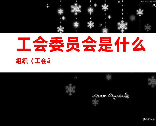 工会委员会是什么组织(工会委员会有哪些)