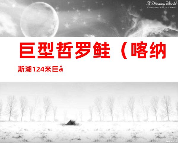 巨型哲罗鲑(喀纳斯湖124米巨型哲罗鲑)
