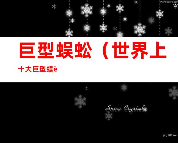 巨型蜈蚣(世界上十大巨型蜈蚣)
