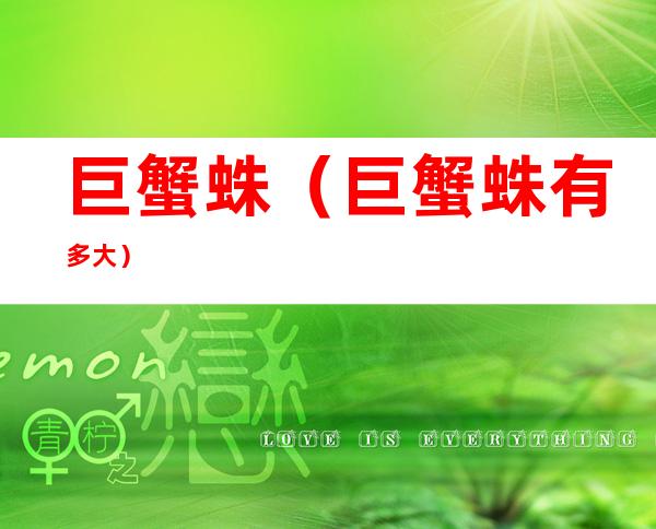 巨蟹蛛(巨蟹蛛有多大)