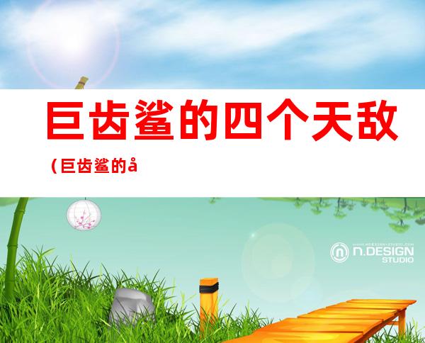 巨齿鲨的四个天敌（巨齿鲨的四个天敌都是什么）