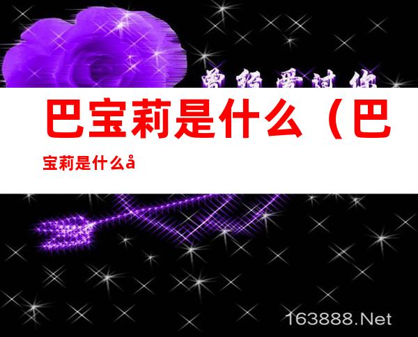 巴宝莉是什么(巴宝莉是什么味道)