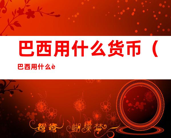 巴西用什么货币(巴西用什么货币英文)