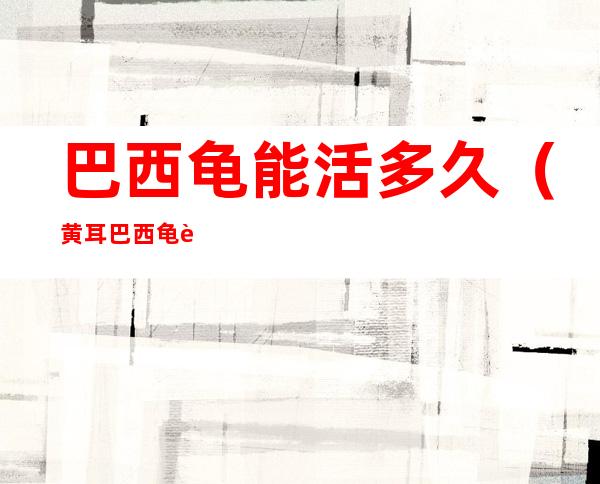巴西龟能活多久(黄耳巴西龟能活多久)