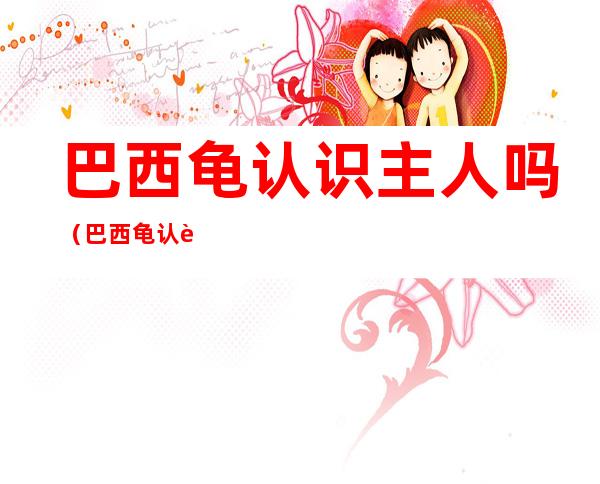 巴西龟认识主人吗（巴西龟认识主人吗?）