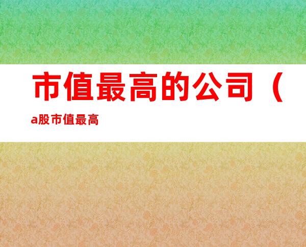 市值最高的公司（a股市值最高的公司）