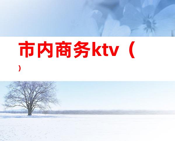 市内商务ktv()
