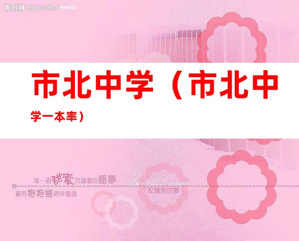 市北中学(市北中学一本率)