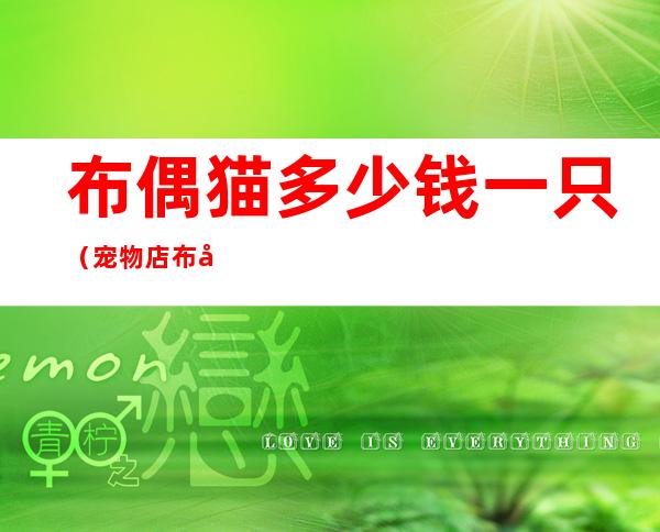 布偶猫多少钱一只(宠物店布偶猫多少钱一只)