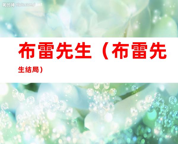 布雷先生（布雷先生结局）