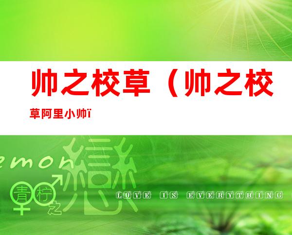 帅之校草（帅之校草 阿里小帅）