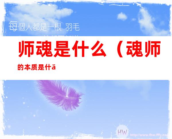 师魂是什么(魂师的本质是什么)
