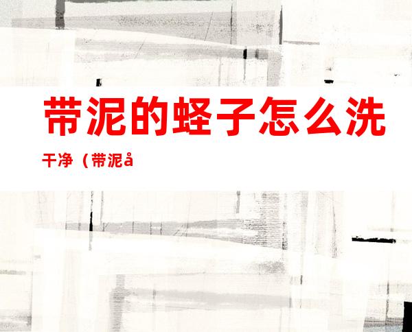 带泥的蛏子怎么洗干净(带泥土的蛏子怎么清洗)