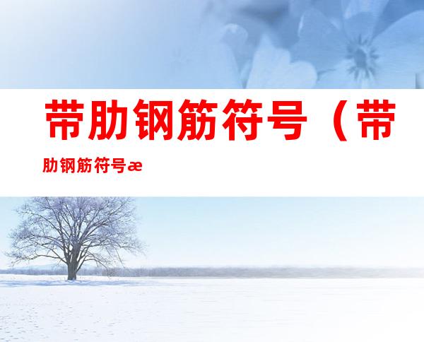 带肋钢筋符号（带肋钢筋符号怎么表示）