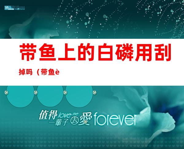带鱼上的白磷用刮掉吗(带鱼身上的白磷用刮吗)
