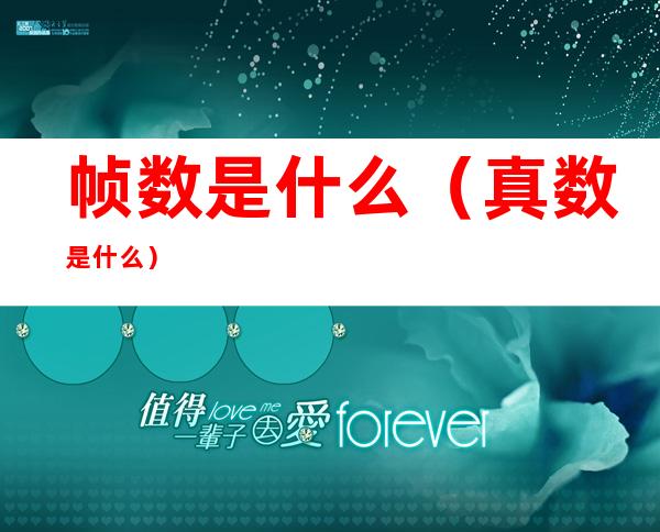 帧数是什么(真数是什么)
