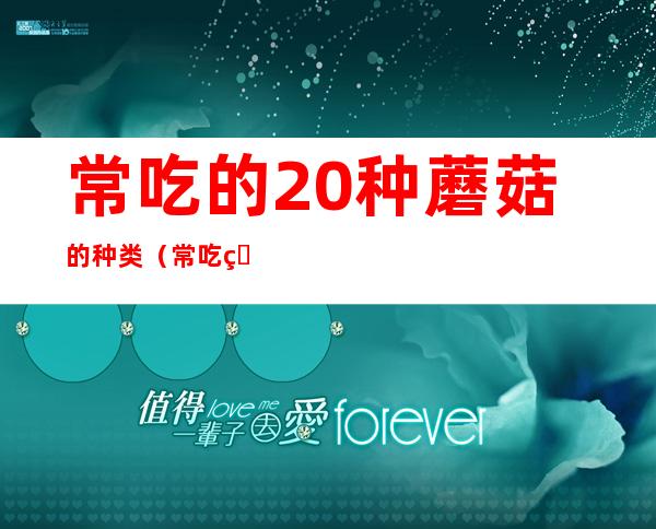 常吃的20种蘑菇的种类(常吃的20种蘑菇的种类图片 可食用)