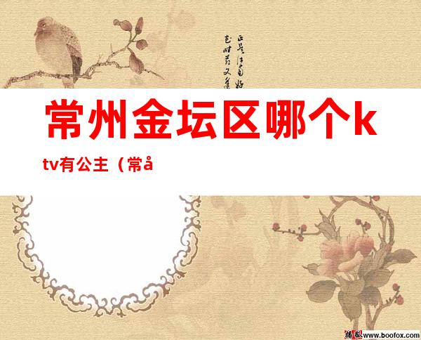 常州金坛区哪个ktv有公主(常州ktv会所招聘公主)