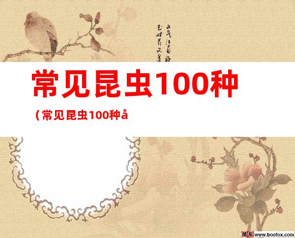 常见昆虫100种(常见昆虫100种名字)