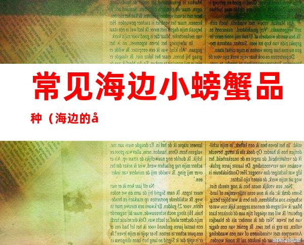 常见海边小螃蟹品种(海边的小螃蟹品种)