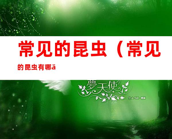 常见的昆虫（常见的昆虫有哪些图片和名字）