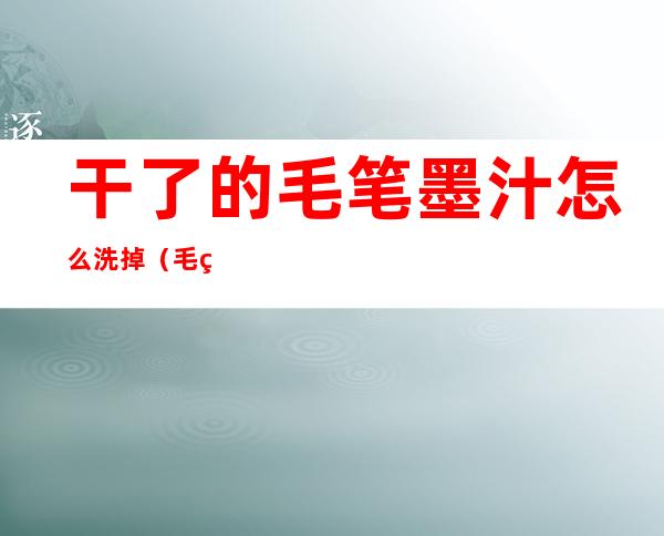 干了的毛笔墨汁怎么洗掉(毛笔墨汁用什么才能洗掉)