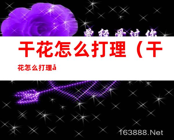 干花怎么打理(干花怎么打理卫生)