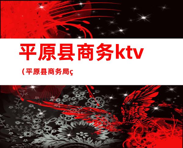 平原县商务ktv(平原县商务局电话)