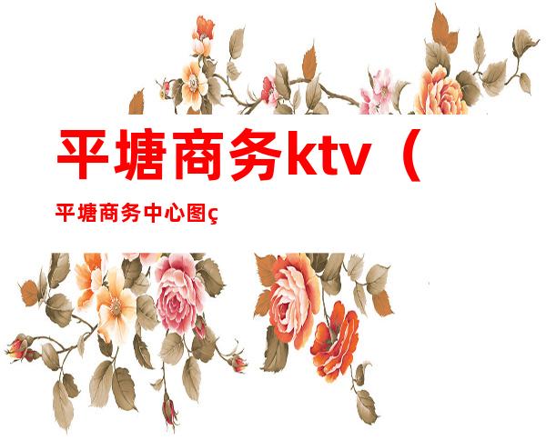 平塘商务ktv(平塘商务中心图片)