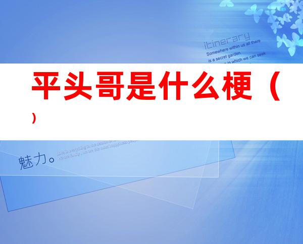 平头哥是什么梗()