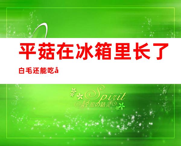 平菇在冰箱里长了白毛还能吃吗(平菇长白毛了还能吃不)