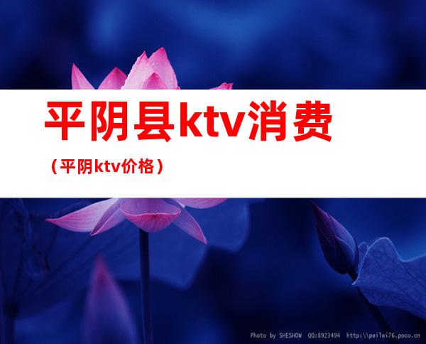 平阴县ktv消费(平阴ktv价格)
