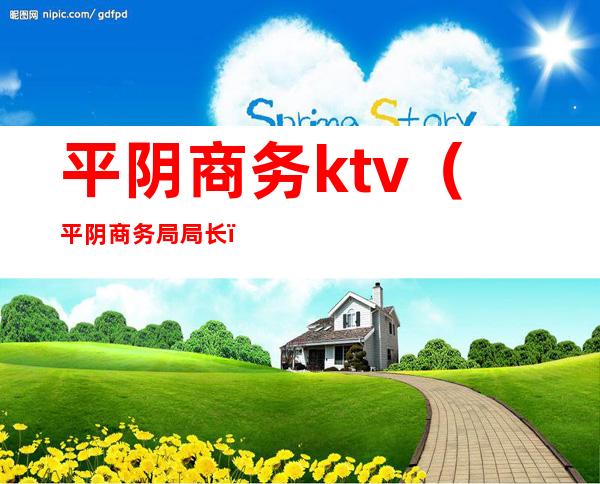 平阴商务ktv(平阴商务局局长)