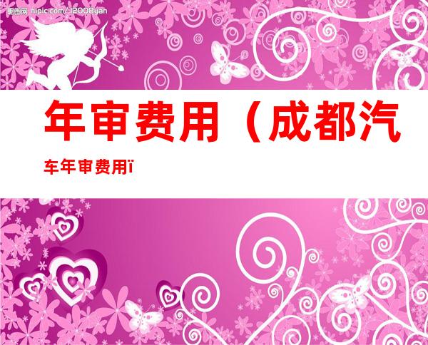 年审费用(成都汽车年审费用)
