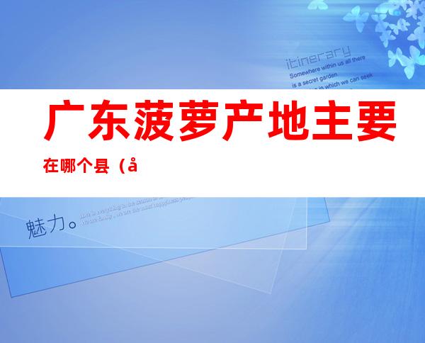 广东菠萝产地主要在哪个县(广东哪里盛产菠萝)