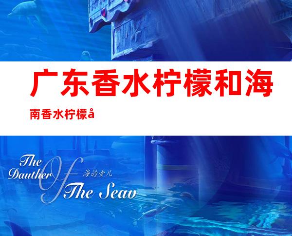 广东香水柠檬和海南香水柠檬区别（香水柠檬广东的好还是海南的好）
