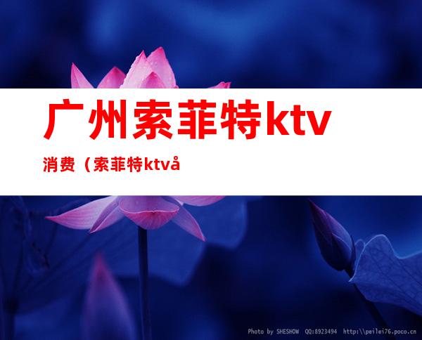 广州索菲特ktv消费(索菲特ktv出台多少钱)