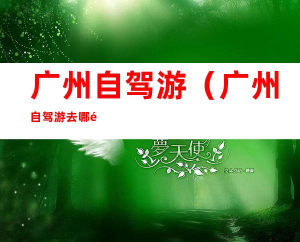 广州自驾游（广州自驾游去哪里比较好）
