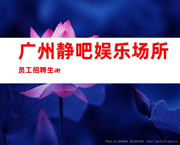 广州静吧娱乐场所员工招聘生意好的清吧直招