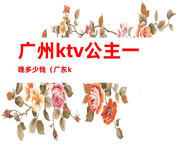 广州ktv公主一晚多少钱(广东ktv公主小费多少)