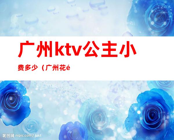 广州ktv公主小费多少(广州花都ktv公主小费多少)